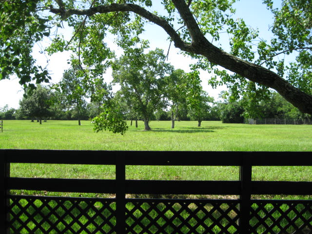 pasture-backyard-view3-6-2014.jpg