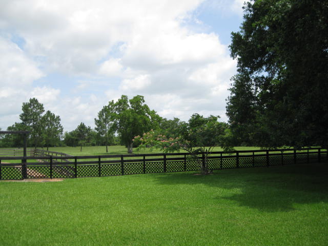 pasture-viewed-from-backyard-6-2014.jpg